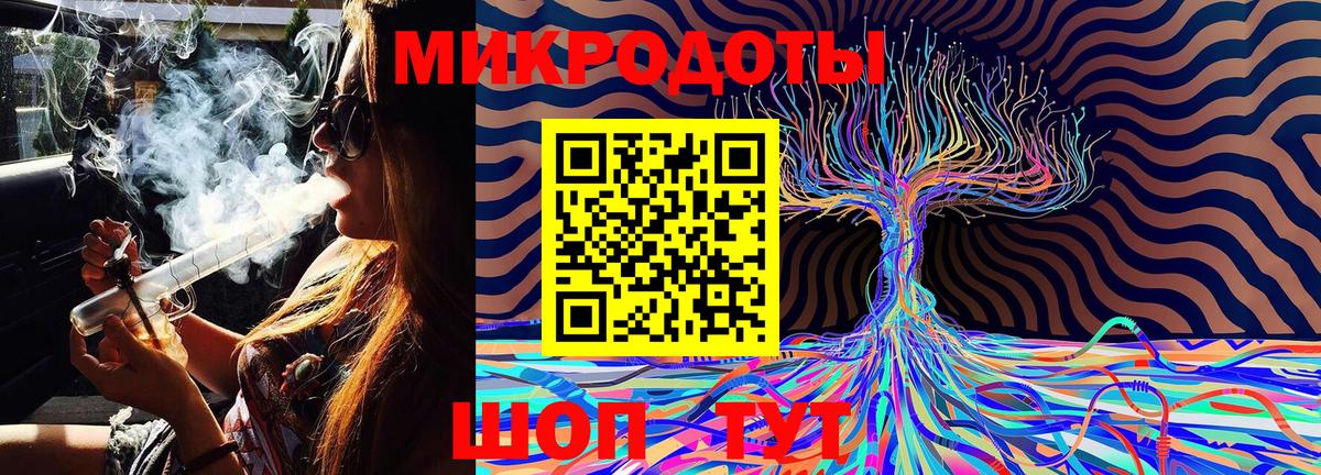 Псилоцибиновые грибы Psilocybe Ивантеевка