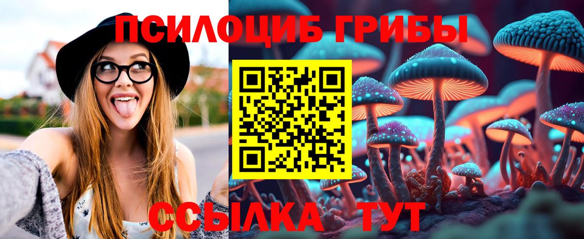 Ивантеевка  Галлюциногенные грибы мицелий  Вход с VPN  Псилоцибиновые грибы прущие грибы 